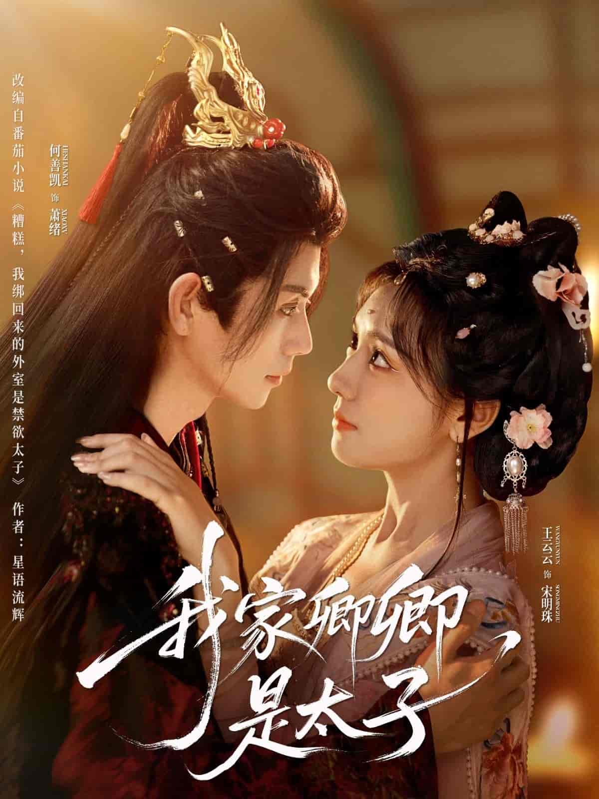 我家卿卿是太子封面图