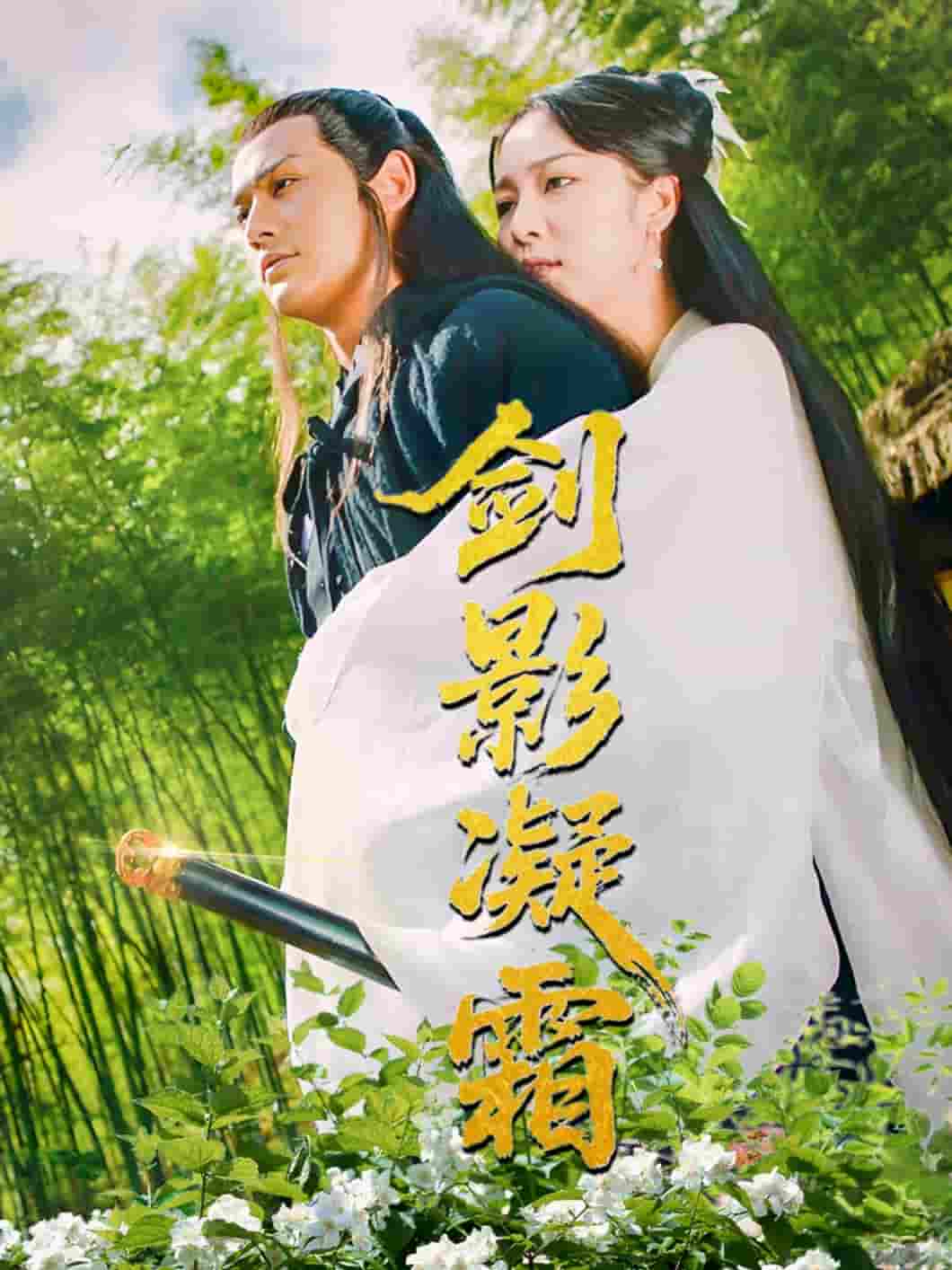 剑影凝霜封面图