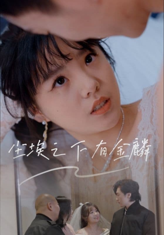 尘埃之下有金鳞封面图