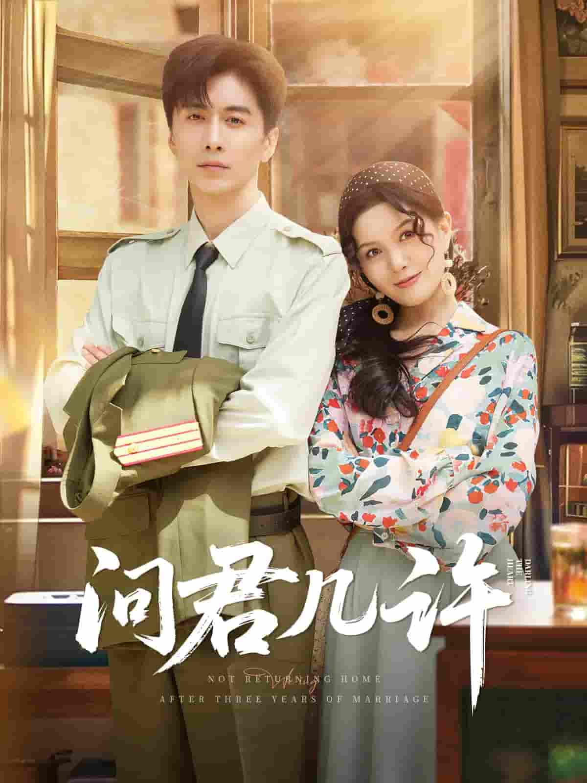 问君几许封面图