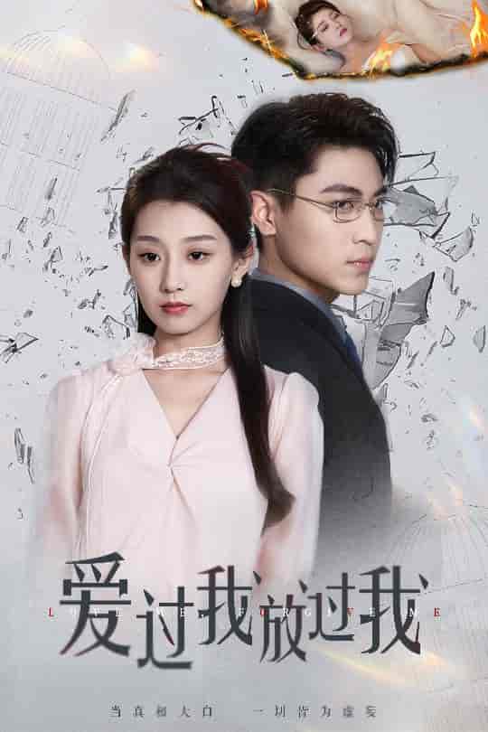 爱过我放过我封面图