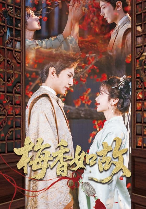 梅香如故封面图