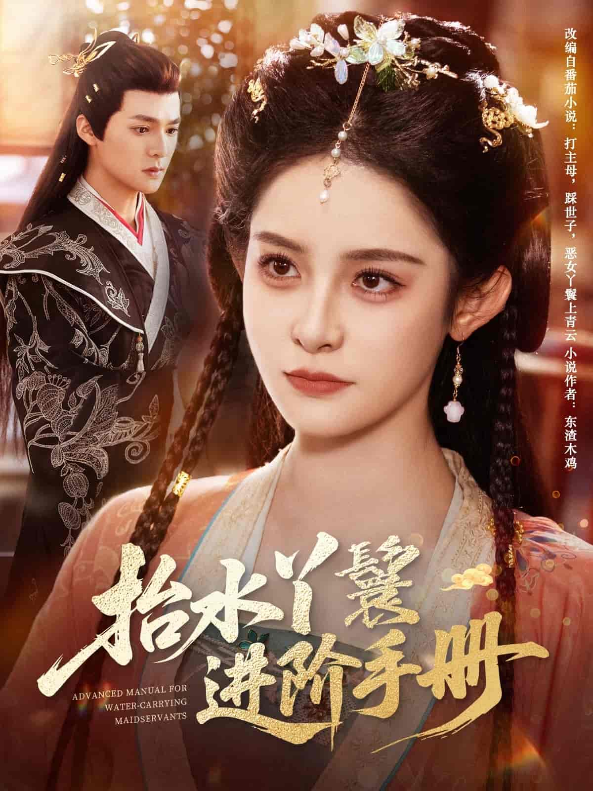 抬水丫鬟进阶手册封面图