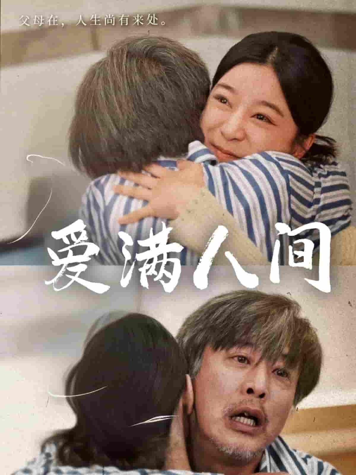 爱满人间封面图