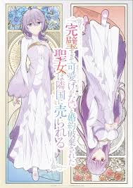 圣女因太过完美不够可爱而被废除婚约并卖到邻国封面图