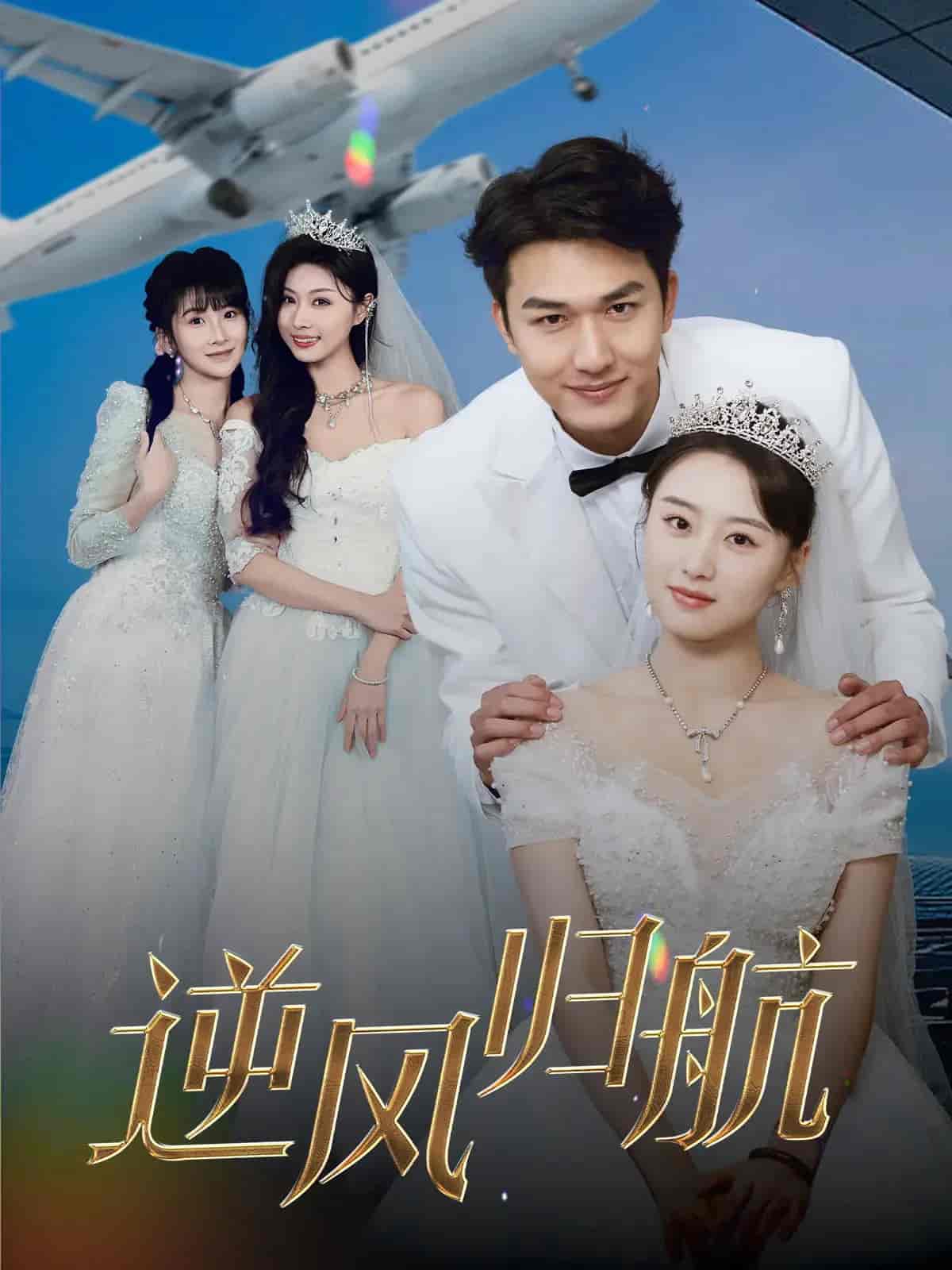 逆风归航封面图