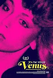 我是你的维纳斯封面图