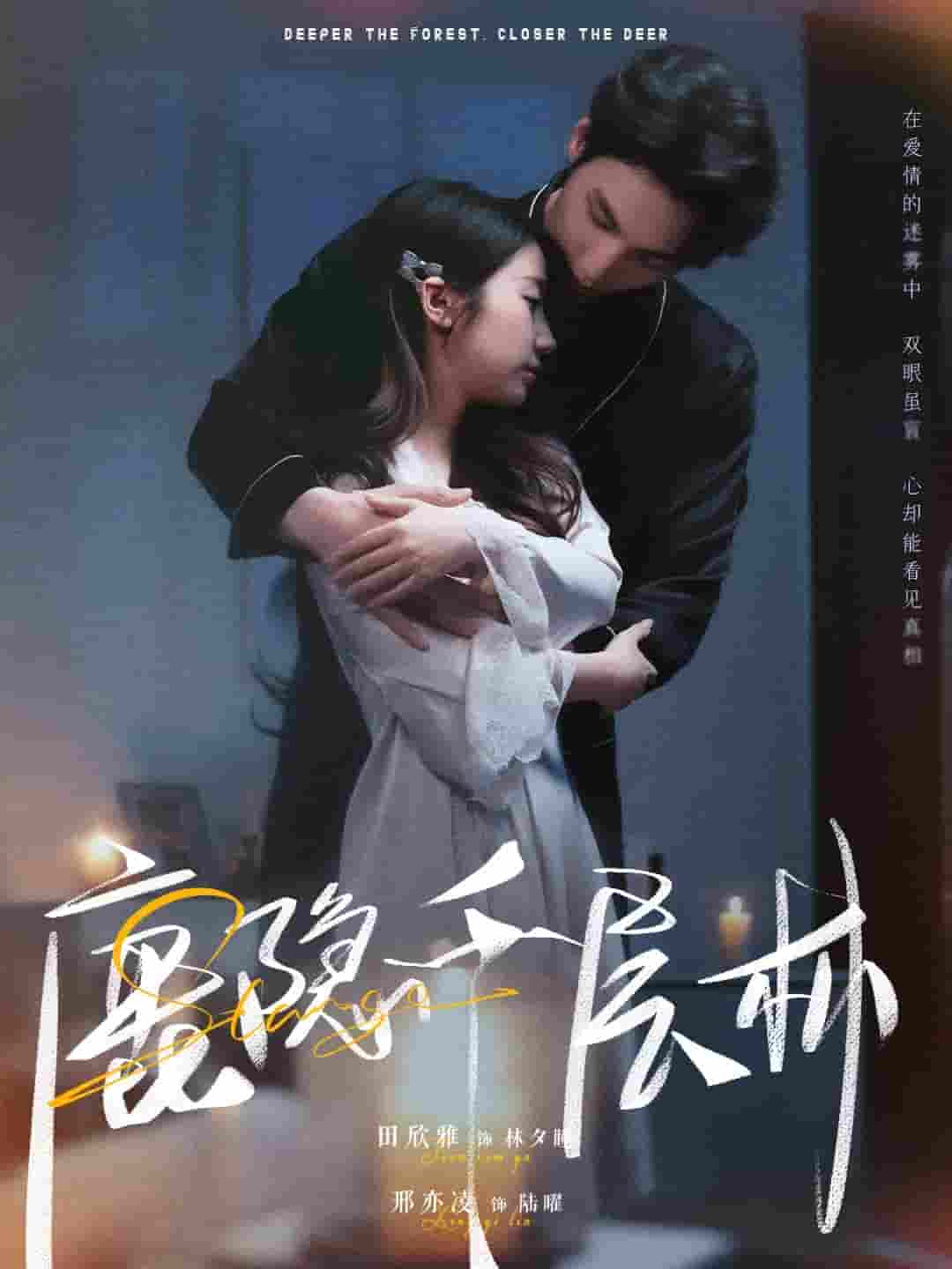 鹿隐千层林封面图