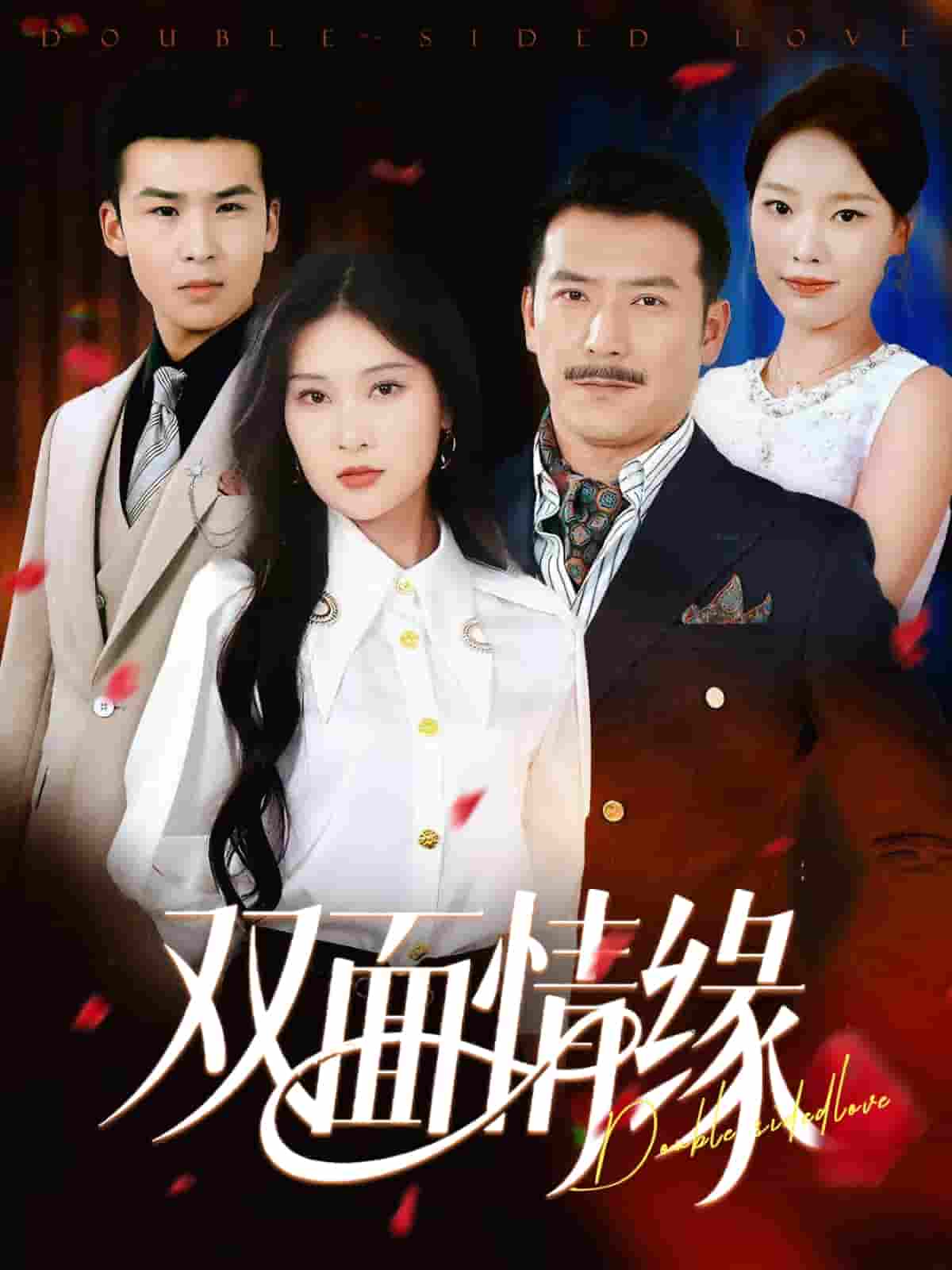 双面情缘封面图