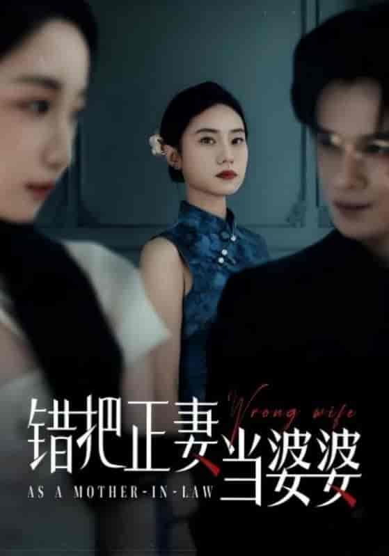 错把正妻当婆婆封面图