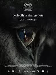 完全陌生2024封面图