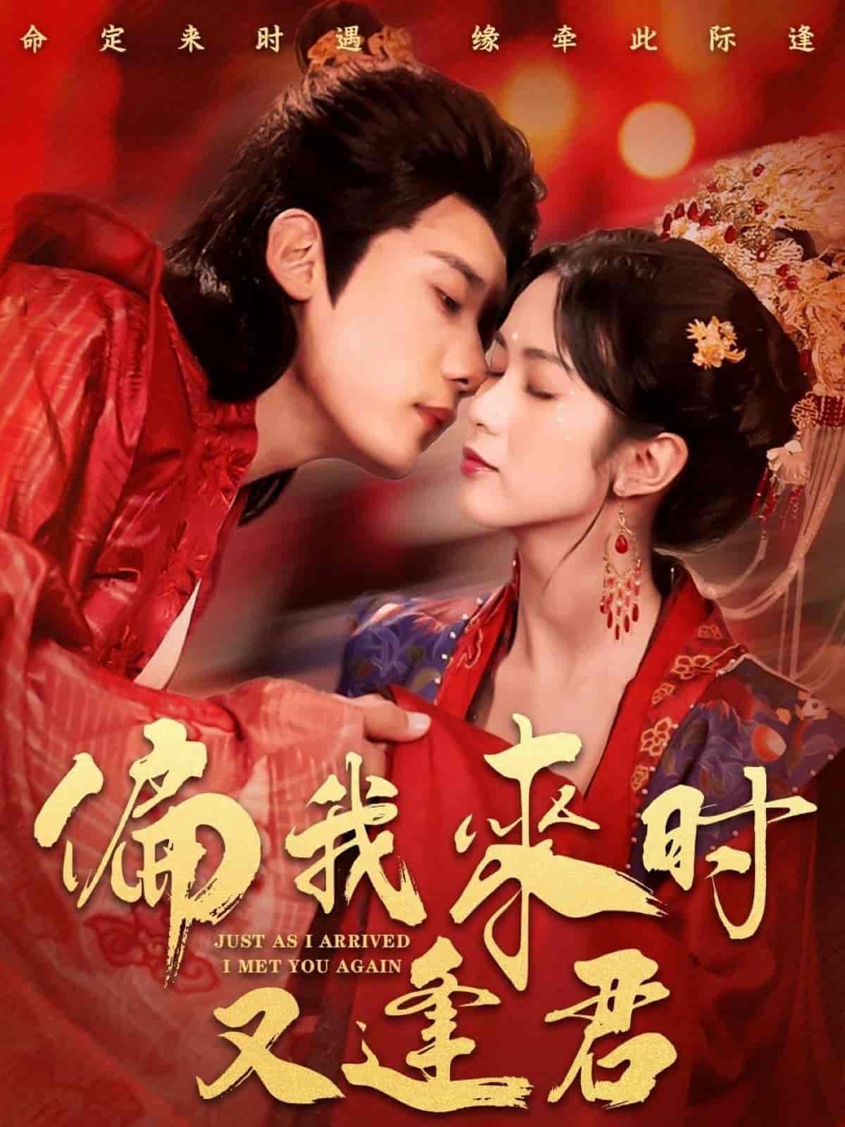 偏我来时又逢君封面图