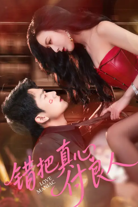 错把真心付良人封面图