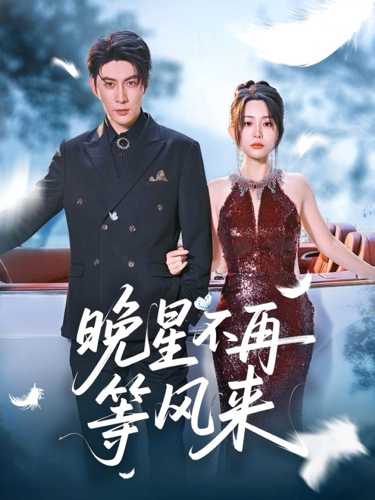 晚星不再等风来封面图