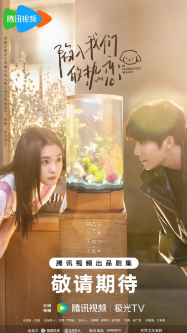 陷入我们的热恋封面图