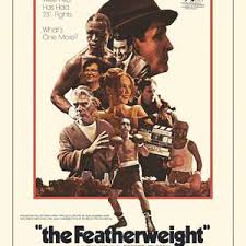 羽量级拳手封面图