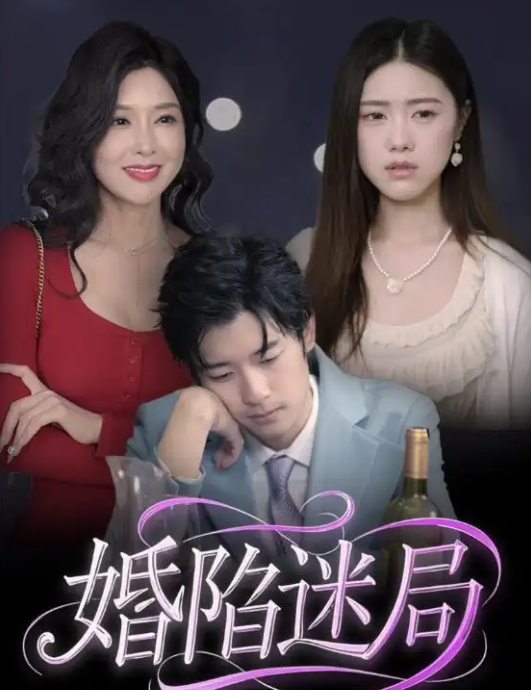 婚陷迷局封面图