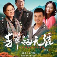 芳草满天涯封面图