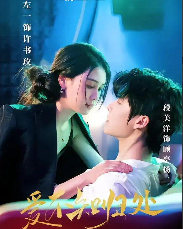 爱不知归处封面图