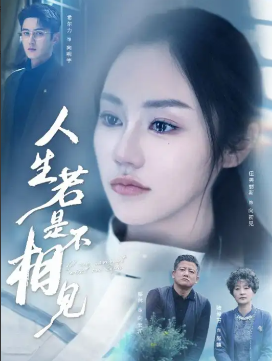 人生若是不相见封面图