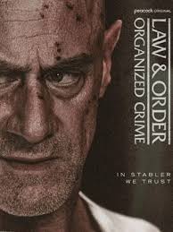 法律与秩序：组织犯罪 第五季封面图