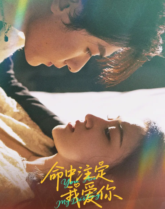 命中注定我爱你封面图