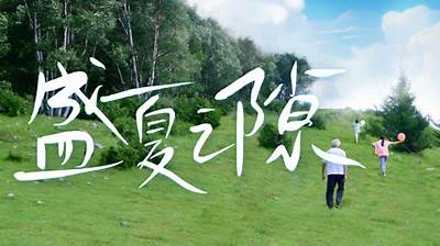 盛夏之隙封面图