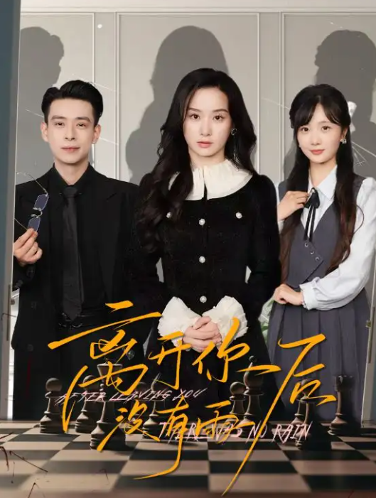 离开你后没有雨封面图