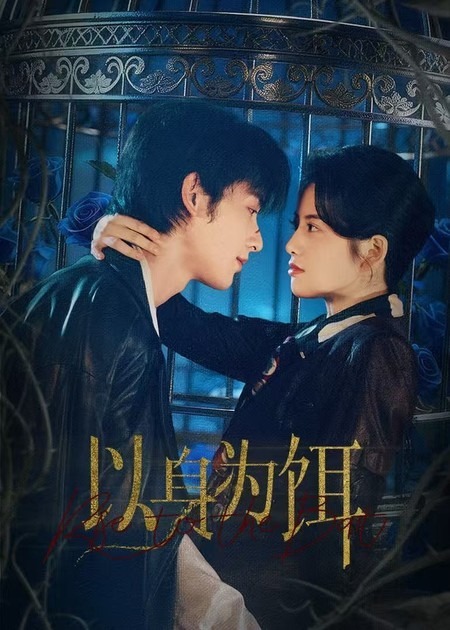 以身为饵封面图